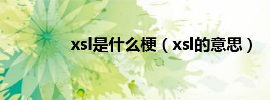 xsl是什么梗（xsl的意思）