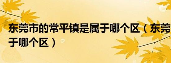 东莞市的常平镇是属于哪个区（东莞常平镇属于哪个区）
