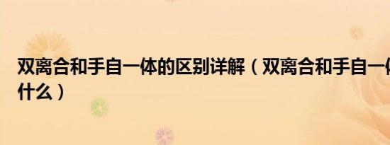 双离合和手自一体的区别详解（双离合和手自一体的区别是什么）