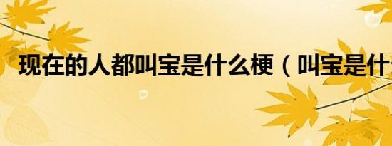现在的人都叫宝是什么梗（叫宝是什么梗）