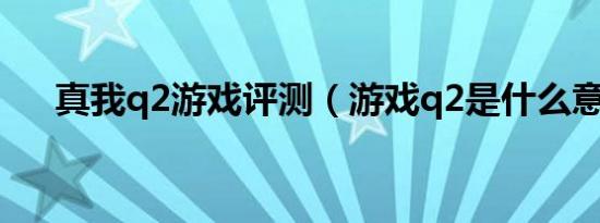 真我q2游戏评测（游戏q2是什么意思）