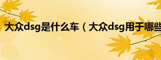 大众dsg是什么车（大众dsg用于哪些车型）