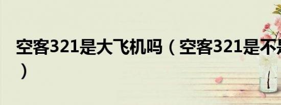 空客321是大飞机吗（空客321是不是大飞机）
