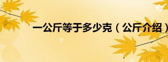 一公斤等于多少克（公斤介绍）