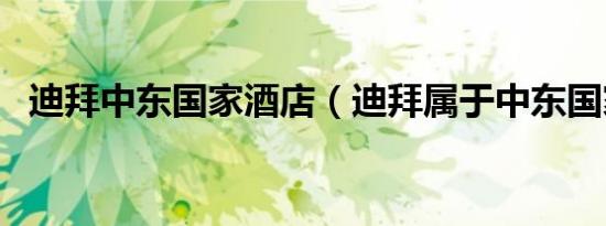 迪拜中东国家酒店（迪拜属于中东国家吗）