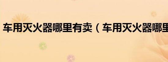 车用灭火器哪里有卖（车用灭火器哪里有卖）