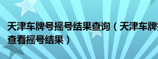 天津车牌号摇号结果查询（天津车牌摇号怎么查看摇号结果）