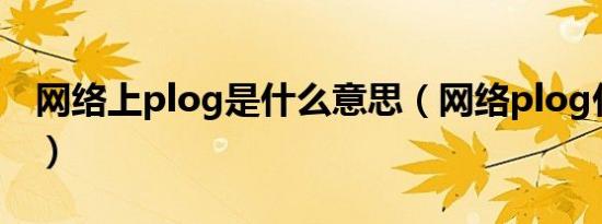 网络上plog是什么意思（网络plog什么意思）