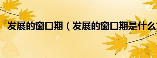 发展的窗口期（发展的窗口期是什么意思）