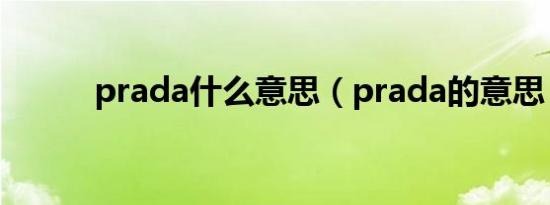 prada什么意思（prada的意思）