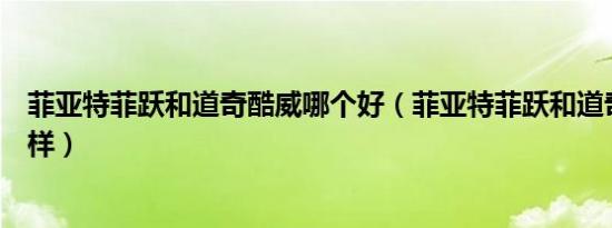 菲亚特菲跃和道奇酷威哪个好（菲亚特菲跃和道奇酷威怎么样）