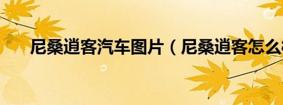 尼桑逍客汽车图片（尼桑逍客怎么样）