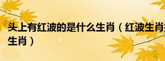 头上有红波的是什么生肖（红波生肖指哪四个生肖）