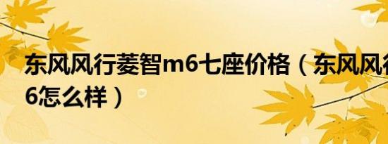 东风风行菱智m6七座价格（东风风行菱智m6怎么样）