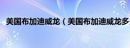 美国布加迪威龙（美国布加迪威龙多少钱）