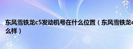 东风雪铁龙c5发动机号在什么位置（东风雪铁龙c5发动机怎么样）