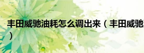 丰田威驰油耗怎么调出来（丰田威驰油耗高吗）