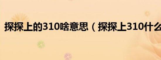 探探上的310啥意思（探探上310什么意思）