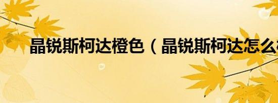 晶锐斯柯达橙色（晶锐斯柯达怎么样）