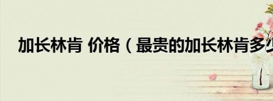 加长林肯 价格（最贵的加长林肯多少钱）