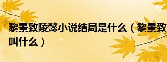 黎景致陵懿小说结局是什么（黎景致陵懿书名叫什么）