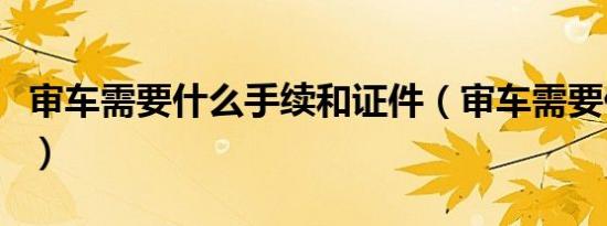 审车需要什么手续和证件（审车需要什么手续）