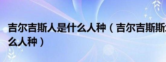 吉尔吉斯人是什么人种（吉尔吉斯斯坦人是什么人种）