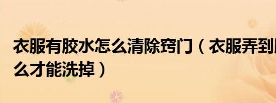 衣服有胶水怎么清除窍门（衣服弄到胶水了怎么才能洗掉）