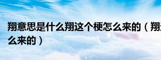 翔意思是什么翔这个梗怎么来的（翔这个梗怎么来的）