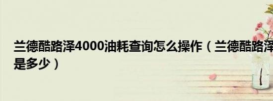 兰德酷路泽4000油耗查询怎么操作（兰德酷路泽4000油耗是多少）