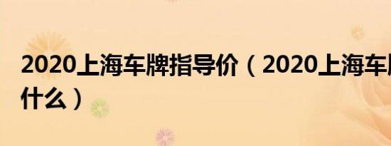 2020上海车牌指导价（2020上海车牌政策是什么）