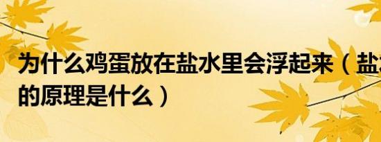 为什么鸡蛋放在盐水里会浮起来（盐水浮鸡蛋的原理是什么）