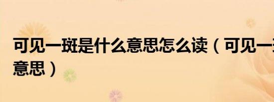 可见一斑是什么意思怎么读（可见一斑是什么意思）