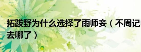 拓跋野为什么选择了雨师妾（不周记中拓拔野去哪了）