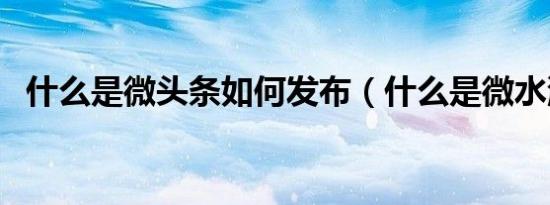 什么是微头条如何发布（什么是微水洗车）