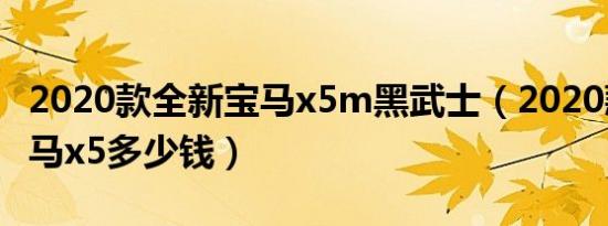 2020款全新宝马x5m黑武士（2020款全新宝马x5多少钱）
