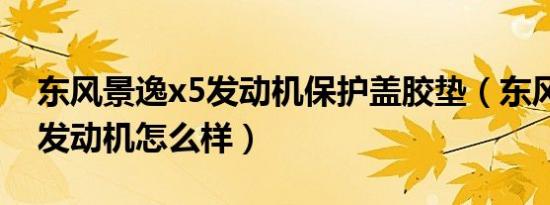 东风景逸x5发动机保护盖胶垫（东风景逸x5发动机怎么样）