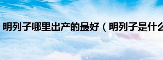明列子哪里出产的最好（明列子是什么东西）