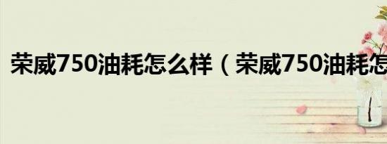 荣威750油耗怎么样（荣威750油耗怎么样）