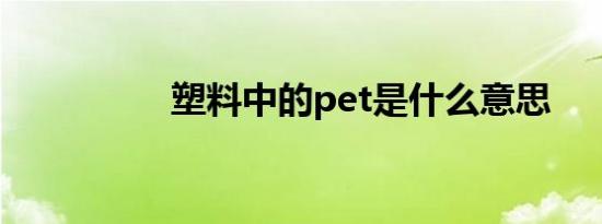 塑料中的pet是什么意思