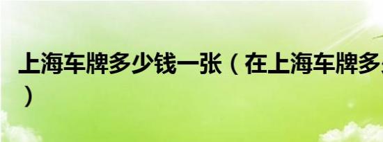上海车牌多少钱一张（在上海车牌多少钱一个）