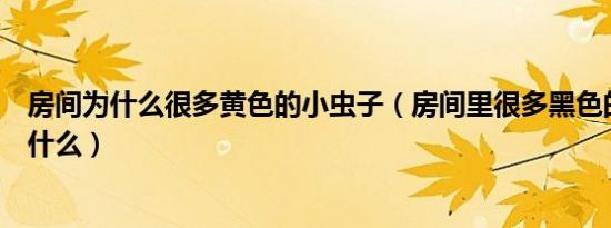 房间为什么很多黄色的小虫子（房间里很多黑色的小虫子是什么）