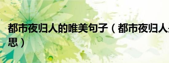 都市夜归人的唯美句子（都市夜归人是什么意思）