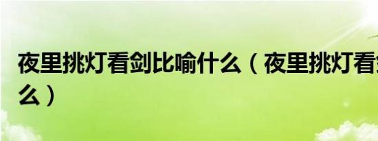 夜里挑灯看剑比喻什么（夜里挑灯看剑比喻什么）
