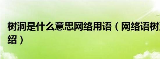 树洞是什么意思网络用语（网络语树洞含义介绍）