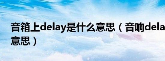 音箱上delay是什么意思（音响delay是什么意思）