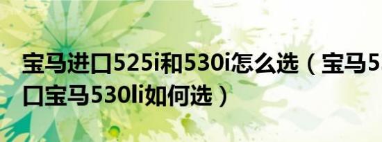 宝马进口525i和530i怎么选（宝马530li和进口宝马530li如何选）