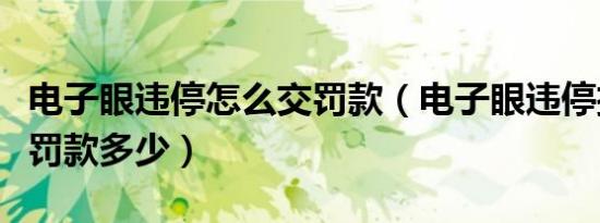电子眼违停怎么交罚款（电子眼违停扣多少分罚款多少）