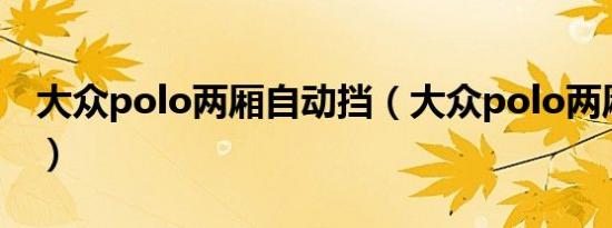 大众polo两厢自动挡（大众polo两厢怎么样）