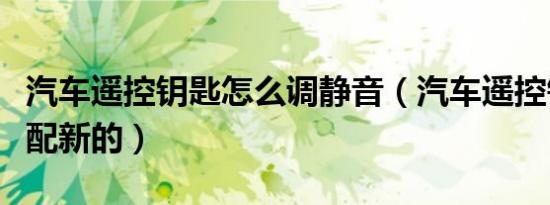 汽车遥控钥匙怎么调静音（汽车遥控钥匙怎么配新的）